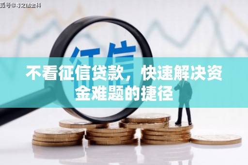 南海不看征信贷款，快速解决资金难题的捷径