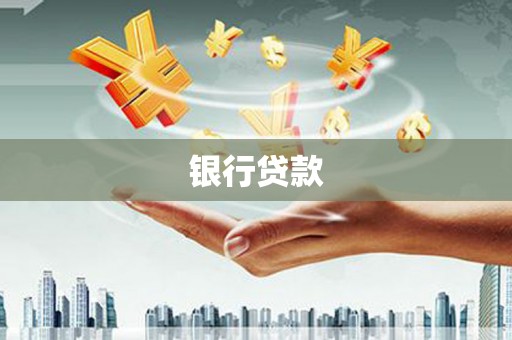 双河银行贷款