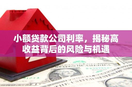 荥阳小额贷款公司利率，揭秘高收益背后的风险与机遇