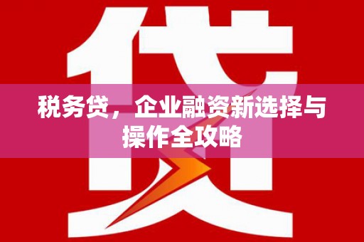 抚远税务贷，企业融资新选择与操作全攻略