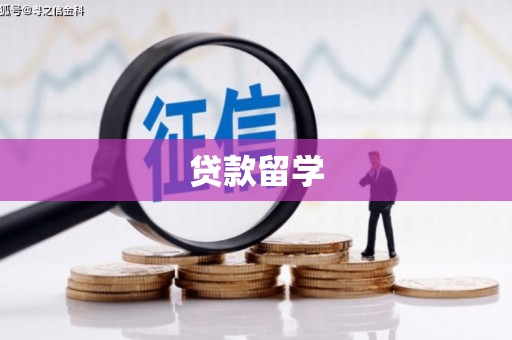 南乐贷款留学