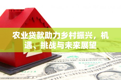 长岭农业贷款助力乡村振兴，机遇、挑战与未来展望