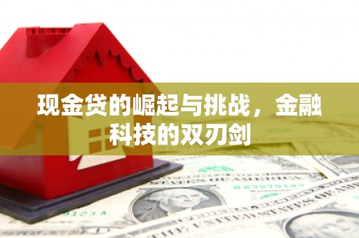 乌伊岭现金贷的崛起与挑战，金融科技的双刃剑