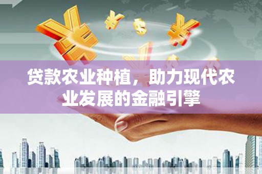 弥陀贷款农业种植，助力现代农业发展的金融引擎