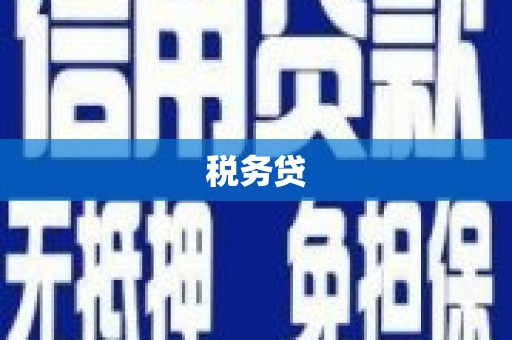 宾川税务贷