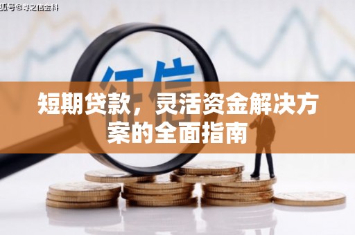 天元短期贷款，灵活资金解决方案的全面指南
