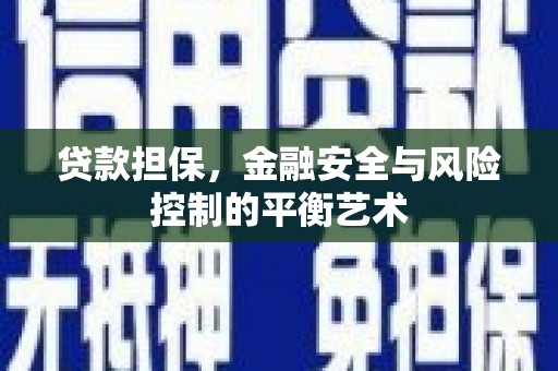 马边贷款担保，金融安全与风险控制的平衡艺术