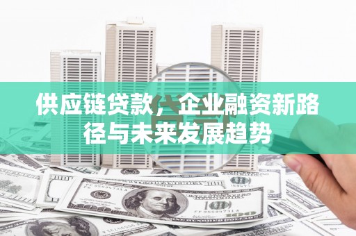 衡东供应链贷款，企业融资新路径与未来发展趋势
