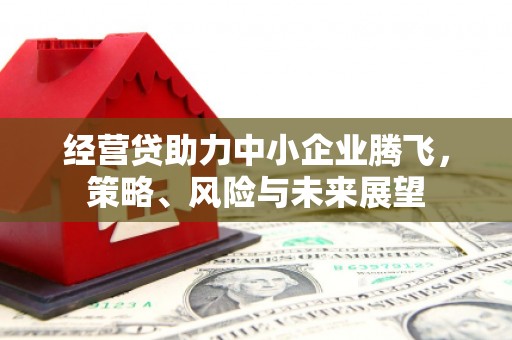 凤林经营贷助力中小企业腾飞，策略、风险与未来展望