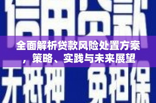 姑苏全面解析贷款风险处置方案，策略、实践与未来展望