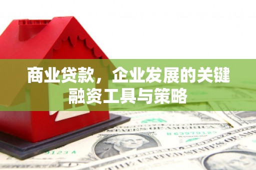 丹徒商业贷款，企业发展的关键融资工具与策略