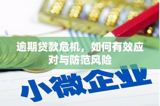 新林逾期贷款危机，如何有效应对与防范风险