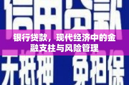 镇原银行贷款，现代经济中的金融支柱与风险管理