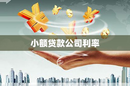和县小额贷款公司利率
