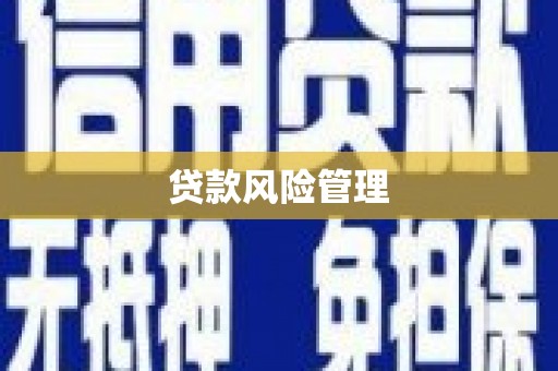 平度贷款风险管理