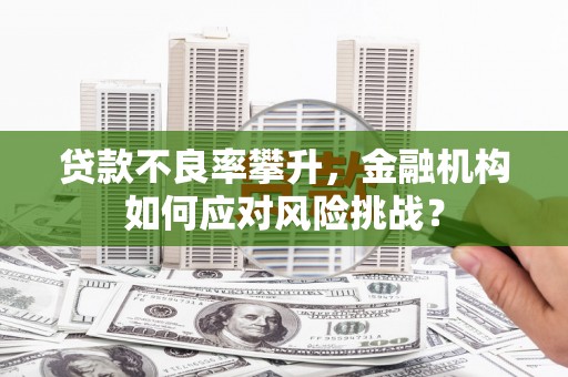 临安贷款不良率攀升，金融机构如何应对风险挑战？