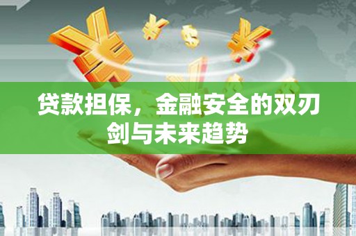 安定贷款担保，金融安全的双刃剑与未来趋势
