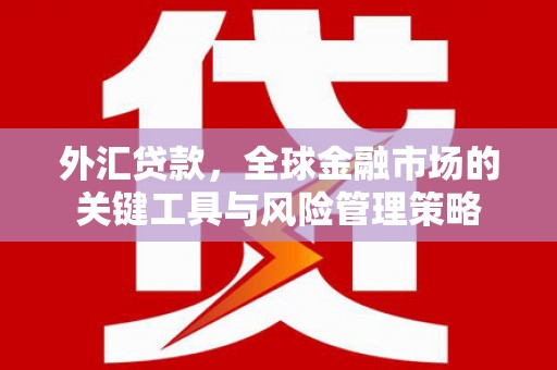 竹崎外汇贷款，全球金融市场的关键工具与风险管理策略