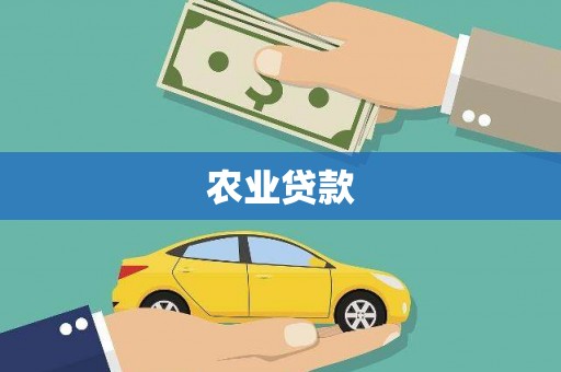 罗城农业贷款