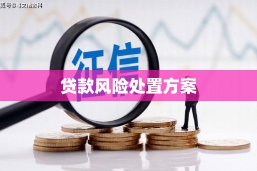 泰来贷款风险处置方案