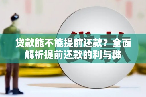 延川贷款能不能提前还款？全面解析提前还款的利与弊