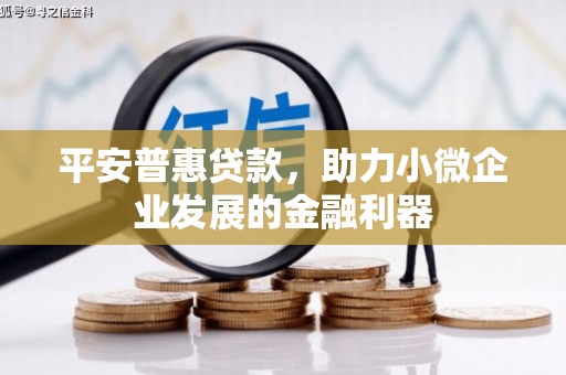 新园平安普惠贷款，助力小微企业发展的金融利器