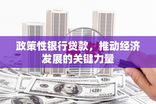 邵阳县政策性银行贷款，推动经济发展的关键力量