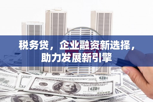 万峦税务贷，企业融资新选择，助力发展新引擎