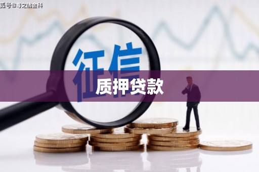 孟州质押贷款