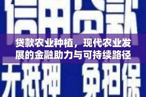 龙城贷款农业种植，现代农业发展的金融助力与可持续路径