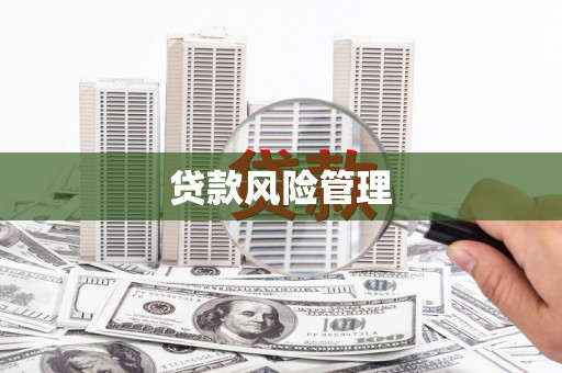 西吉贷款风险管理