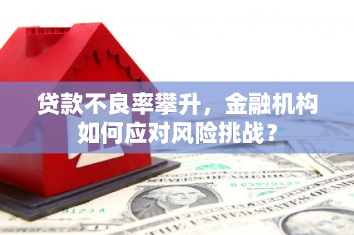 四会贷款不良率攀升，金融机构如何应对风险挑战？