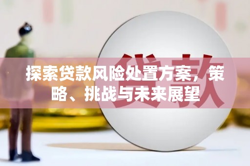 宣汉探索贷款风险处置方案，策略、挑战与未来展望