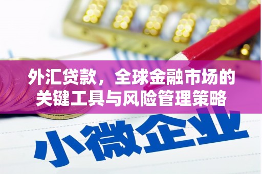 濉溪外汇贷款，全球金融市场的关键工具与风险管理策略