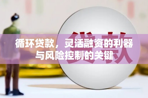 滴道循环贷款，灵活融资的利器与风险控制的关键