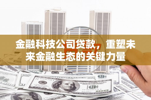 金华金融科技公司贷款，重塑未来金融生态的关键力量