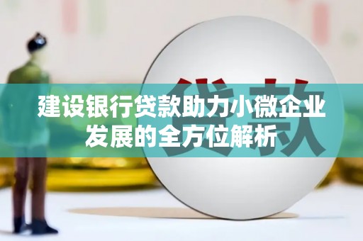 罗平建设银行贷款助力小微企业发展的全方位解析