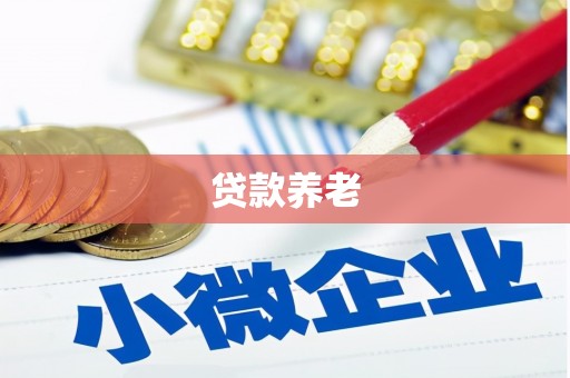 内丘贷款养老