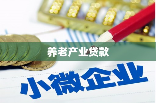 邵阳县养老产业贷款