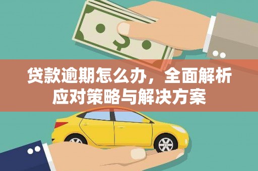 礼县贷款逾期怎么办，全面解析应对策略与解决方案