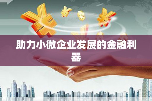 广水助力小微企业发展的金融利器