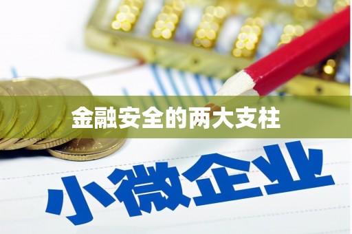 封丘金融安全的两大支柱