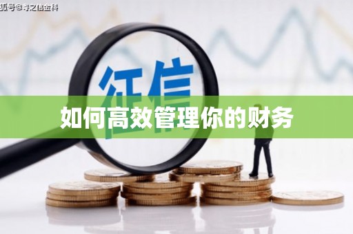 定海如何高效管理你的财务