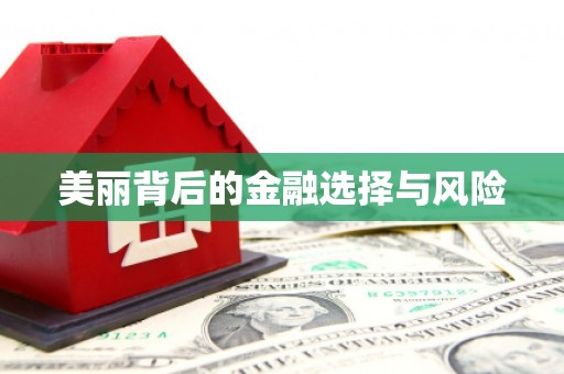 武进美丽背后的金融选择与风险