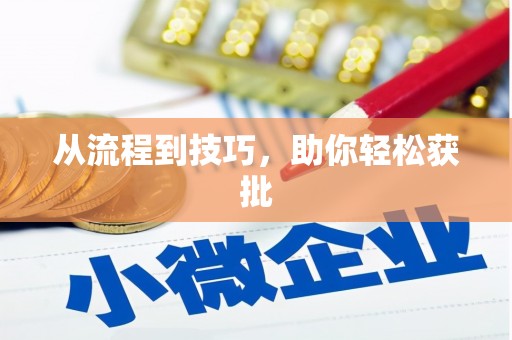 台西从流程到技巧，助你轻松获批