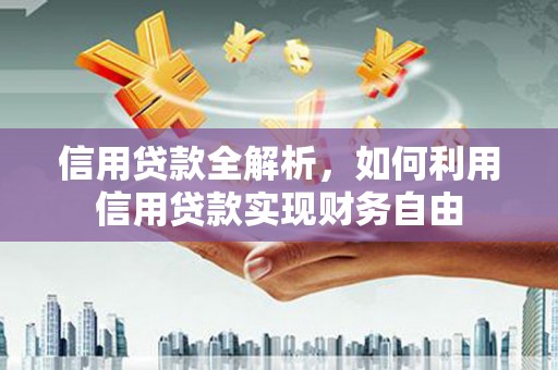 玉树信用贷款全解析，如何利用信用贷款实现财务自由