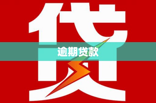 景东逾期贷款