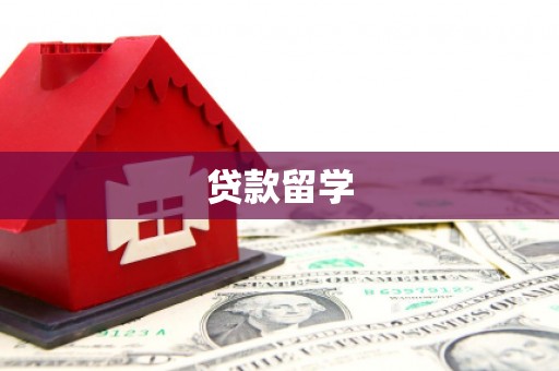 天元贷款留学